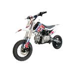 PIT BIKE PBS TEEN R MX 110 12/10 AUTOMATICA